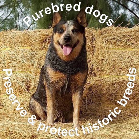 Meet your Posher, Karen - Picture 1 of 1